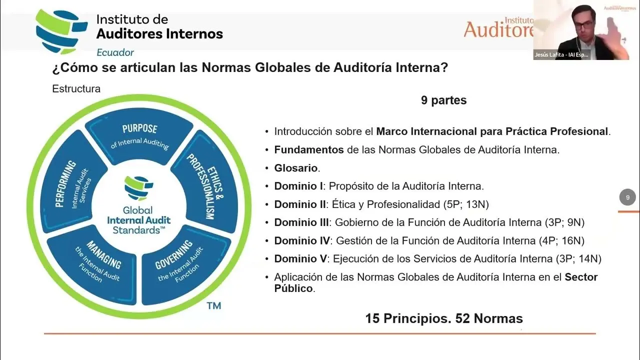 svs estándares auditoria - Qué es la SVS