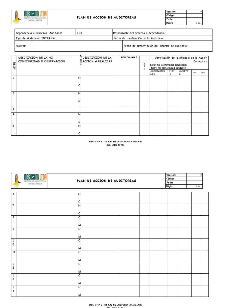 plan de accion auditoria sst - Qué es Plan de Acción en SST