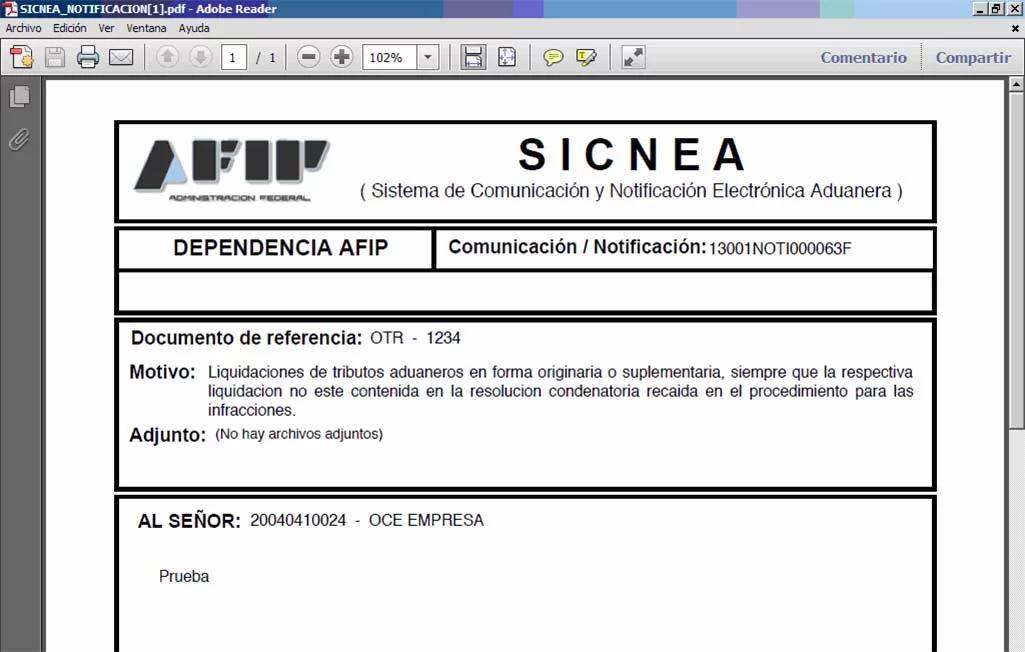 fiscalizacion electronica sicnea - Qué es Sicnea en AFIP