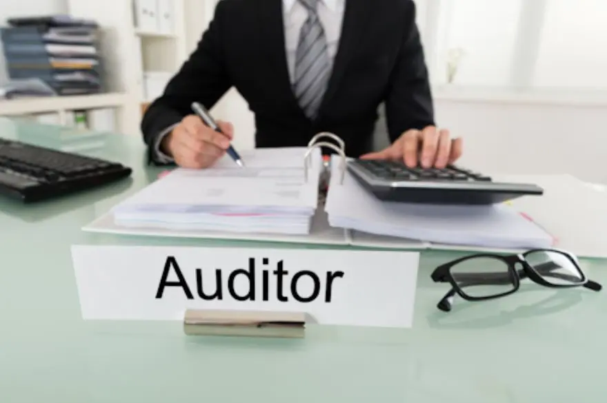 contador auditor privado - Qué es un contador auditor privado