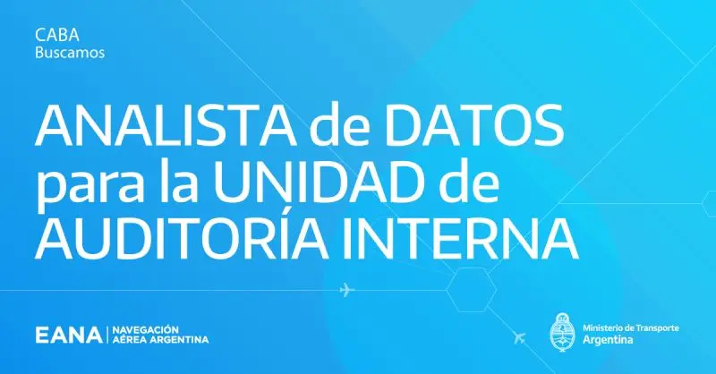 auditor interno de los servicios de navegacion aerea - Qué es una auditoría aeronáutica