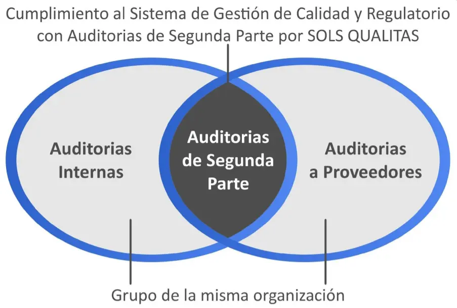 auditoria de segunda parte - Qué es una auditoría de primera segunda y tercera parte