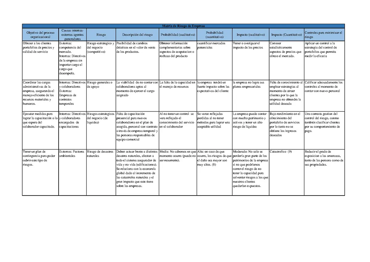 matriz de riesgos y controles auditoria de procesos - Qué es una matriz de riesgos y controles