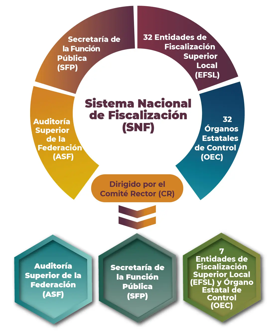 fiscalizacion gubernamental - Qué es y quién realiza la fiscalización