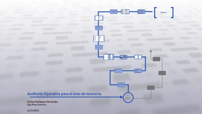 auditoria operativa area tesoreria - Qué funciones comprende el ciclo de tesorería