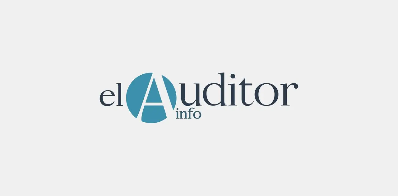 el auditor - Qué hace el auditor administrativo