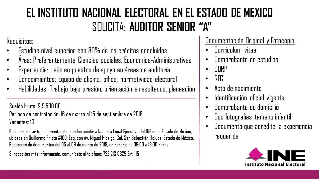 auditor senior ine - Qué hace un auditor en el INE