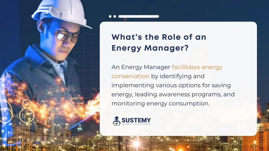 energy manager energy auditor - Qué hace un Energy Manager
