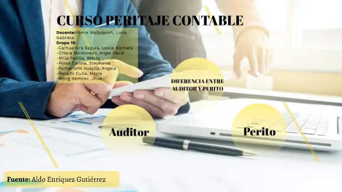 curso de perito auditor - Qué hace un perito auditor