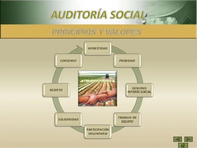 trabajo social y auditoria social - Qué incluye el trabajo social