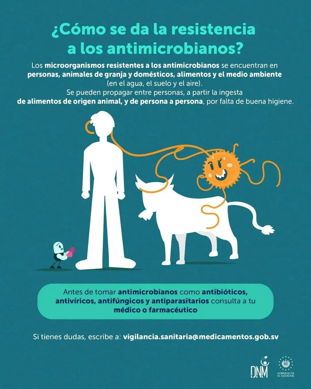 direccion de fiscalizacion de productos animales - Qué organizaciones se dedican a la defensa y el cuidado de los animales en Argentina