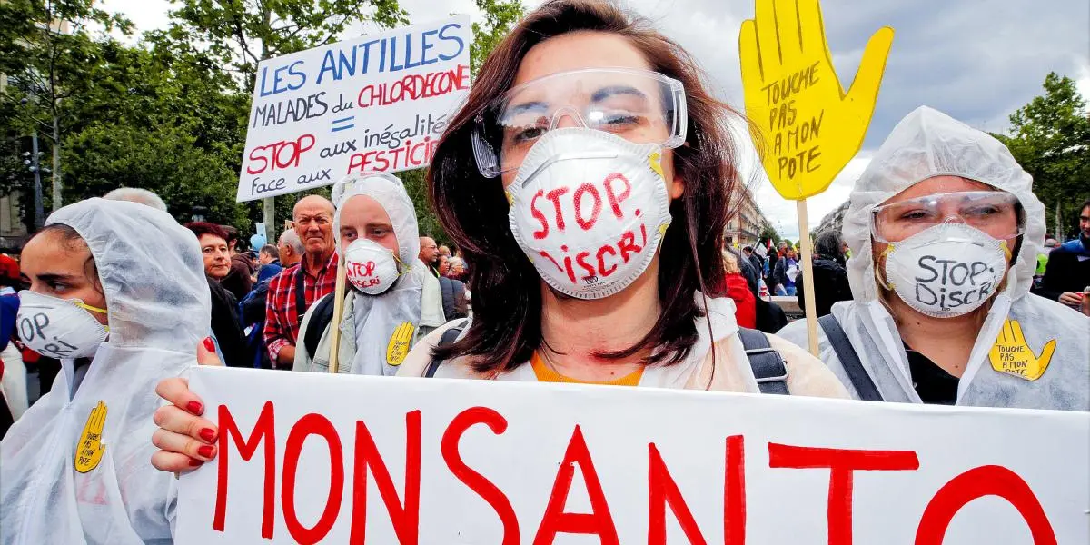 sigue existiendo una fiscalizacion de monsanto - Qué pasó con Monsanto en Argentina