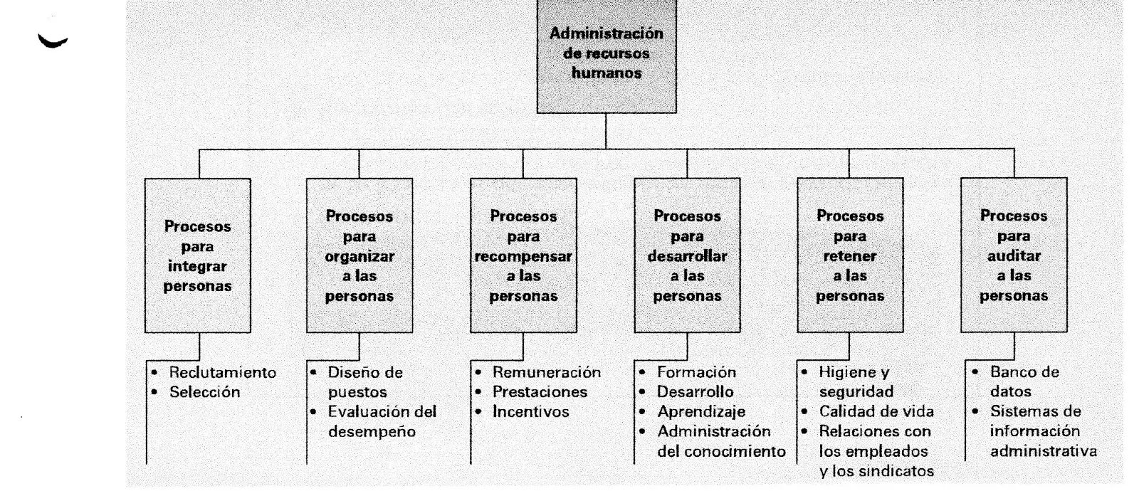 enfoques de la auditoria de rrhh segun chiavenato - Qué propone Chiavenato