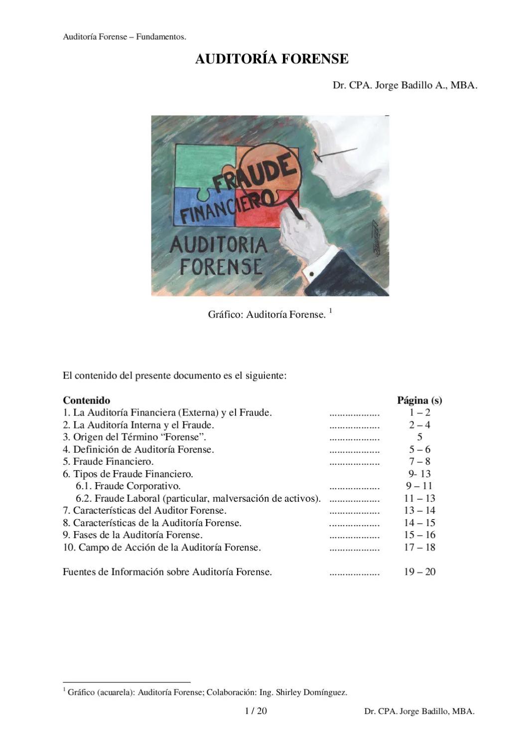 fraude financiero por mala auditoria argentina - Qué puede implicar la información financiera fraudulenta