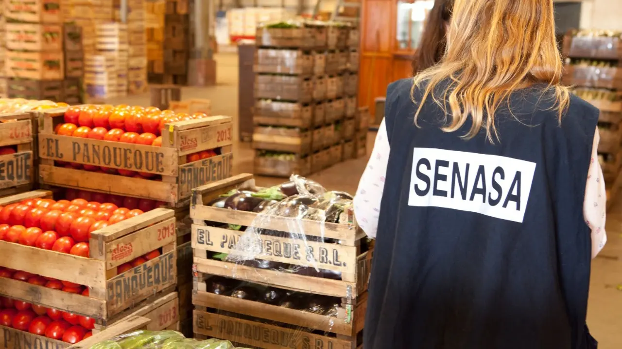 fiscalizacion de alimentos en argentina - Que reglamenta el artículo 1415 del Código Alimentario Argentino