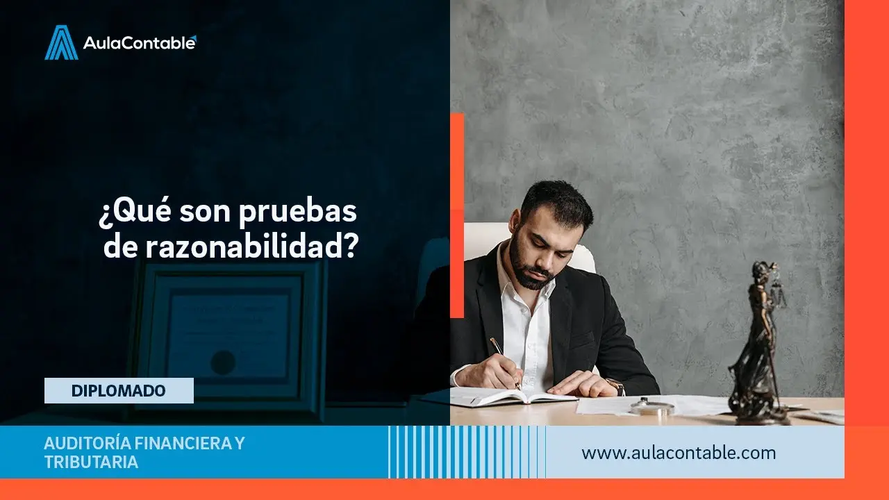 que se entiende por razonabilidad en auditoria - Que se entiende por el principio de razonabilidad