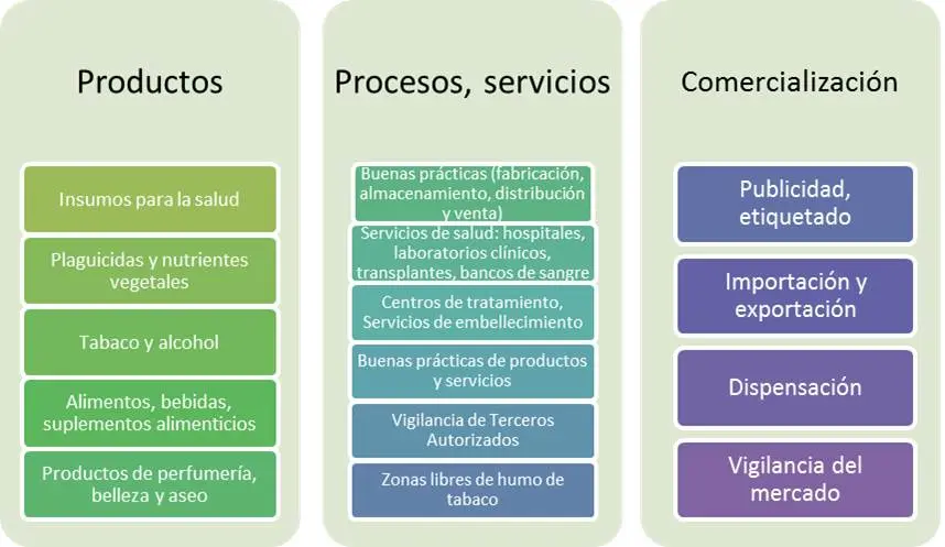 fiscalizacion sanitaria procedimiento de inspeccion - Que se realiza en la inspección sanitaria