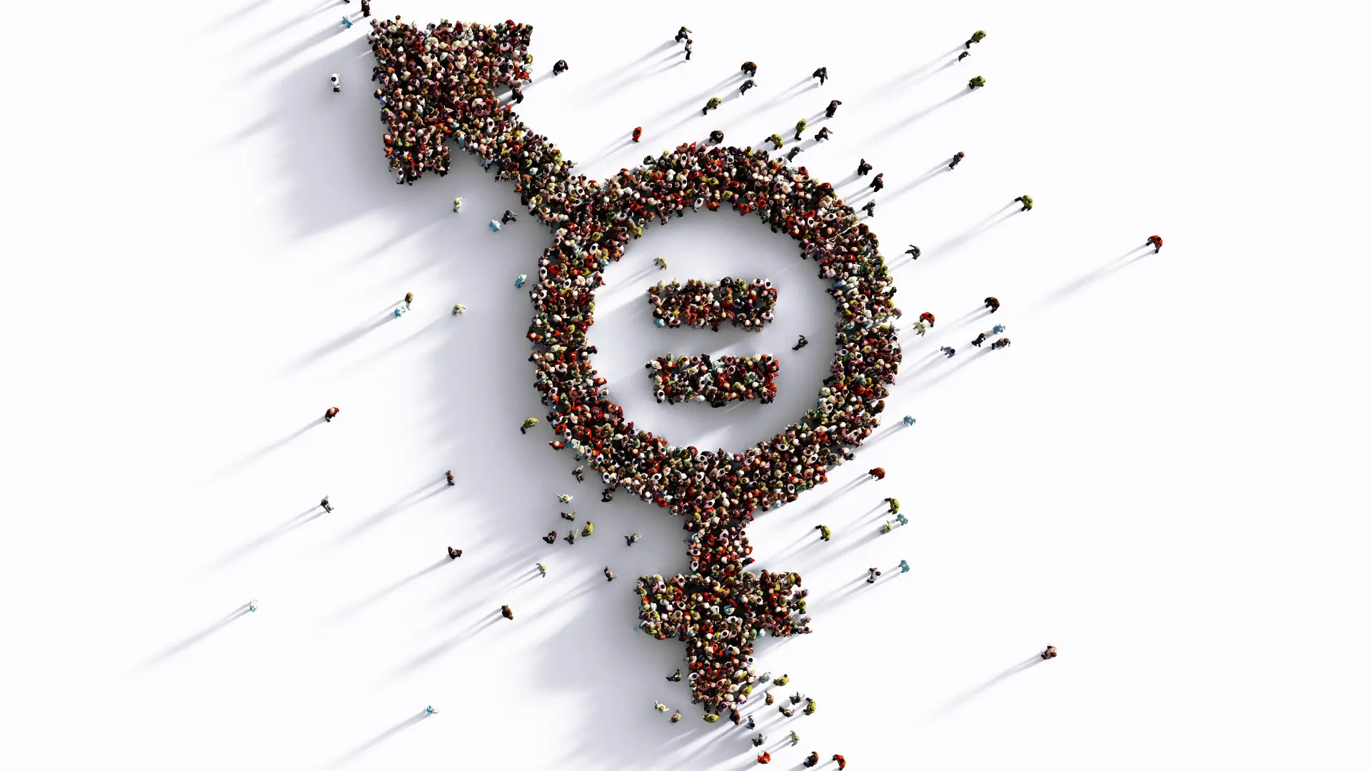 que se entiende por auditoria de genero - Qué significa cuestión de género