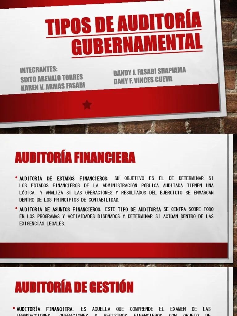 tipos de auditoria gubernamental - Qué son las tecnicas de auditoría gubernamental