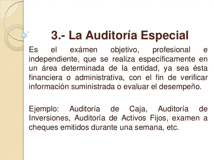 informes especiales de auditoria - Qué son los informes especiales