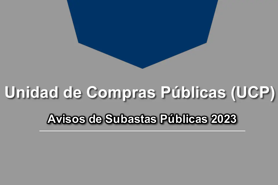 minsal licitacion para auditar programas de salud - Qué son los procedimientos de adquisiciones