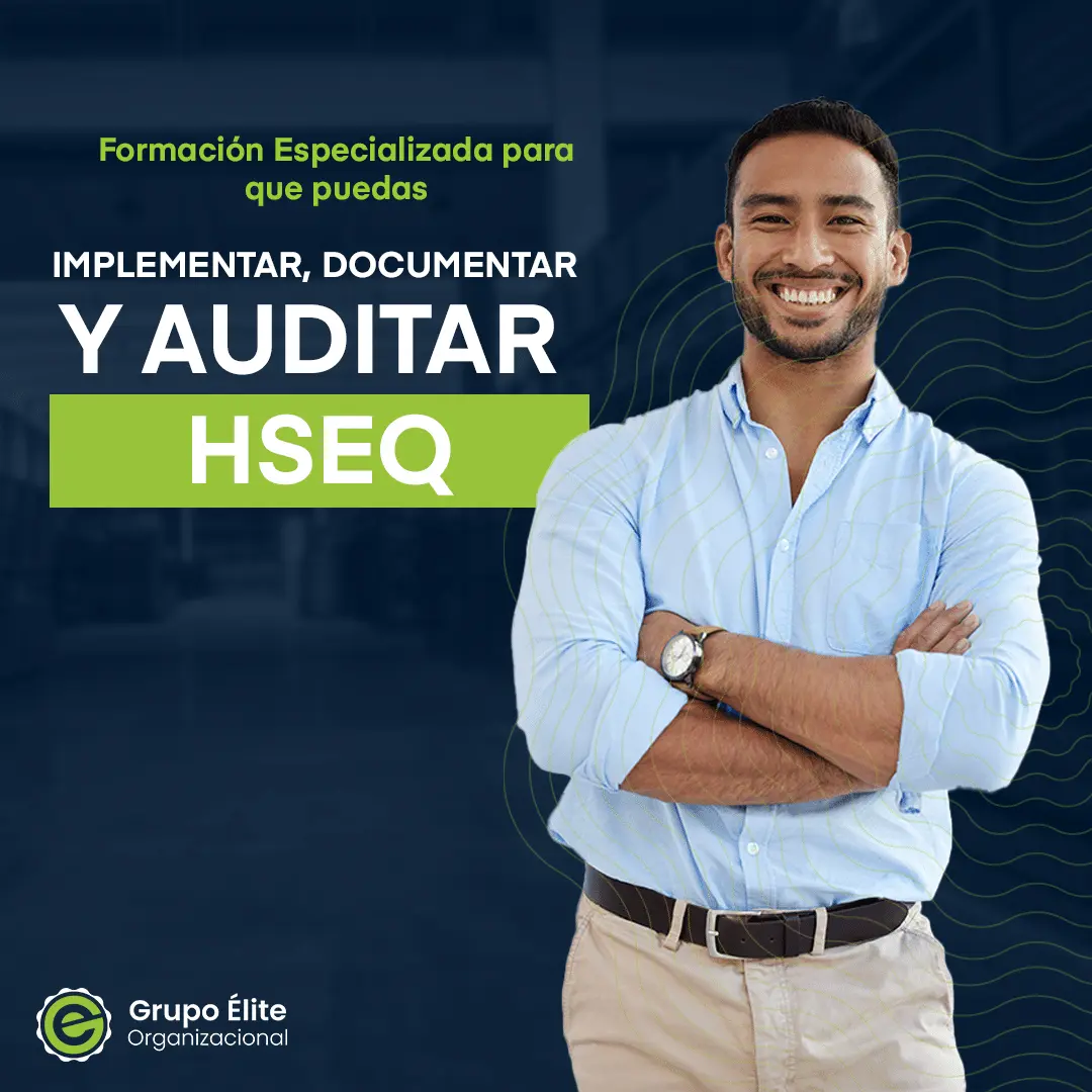 grupo elite organizacional auditor interno hseq - Qué tipo de auditoría se utiliza para verificar la efectividad de un sistema HSEQ integrado