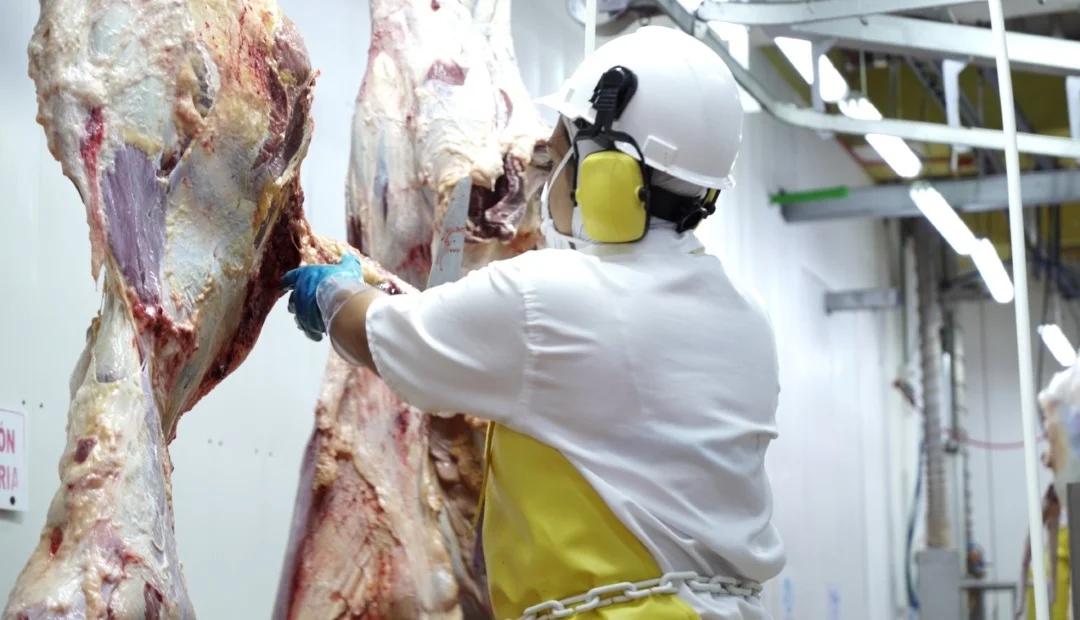 nuevas normas fiscalizacion en matatderos carne vacuna - Qué tipo de normas regulan la industria cárnica