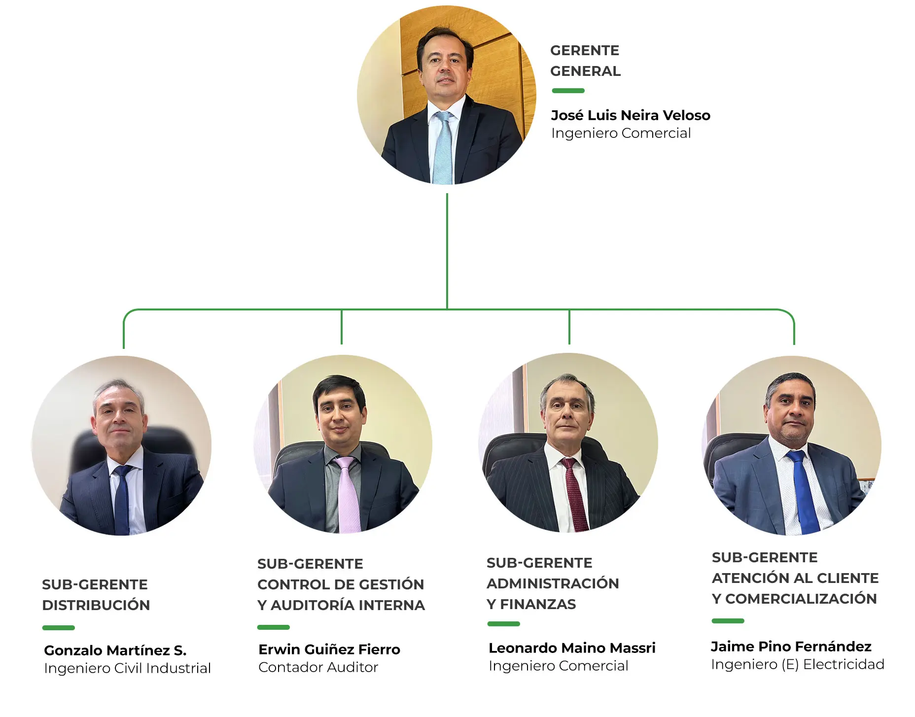 auditor y gerente cooperativa - Quién es responsable en una cooperativa