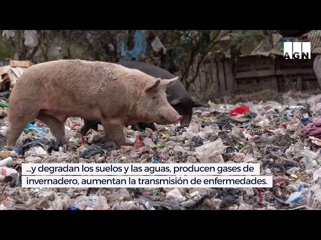 auditoria general de la nacion basura - Quién se encarga de la basura en Argentina