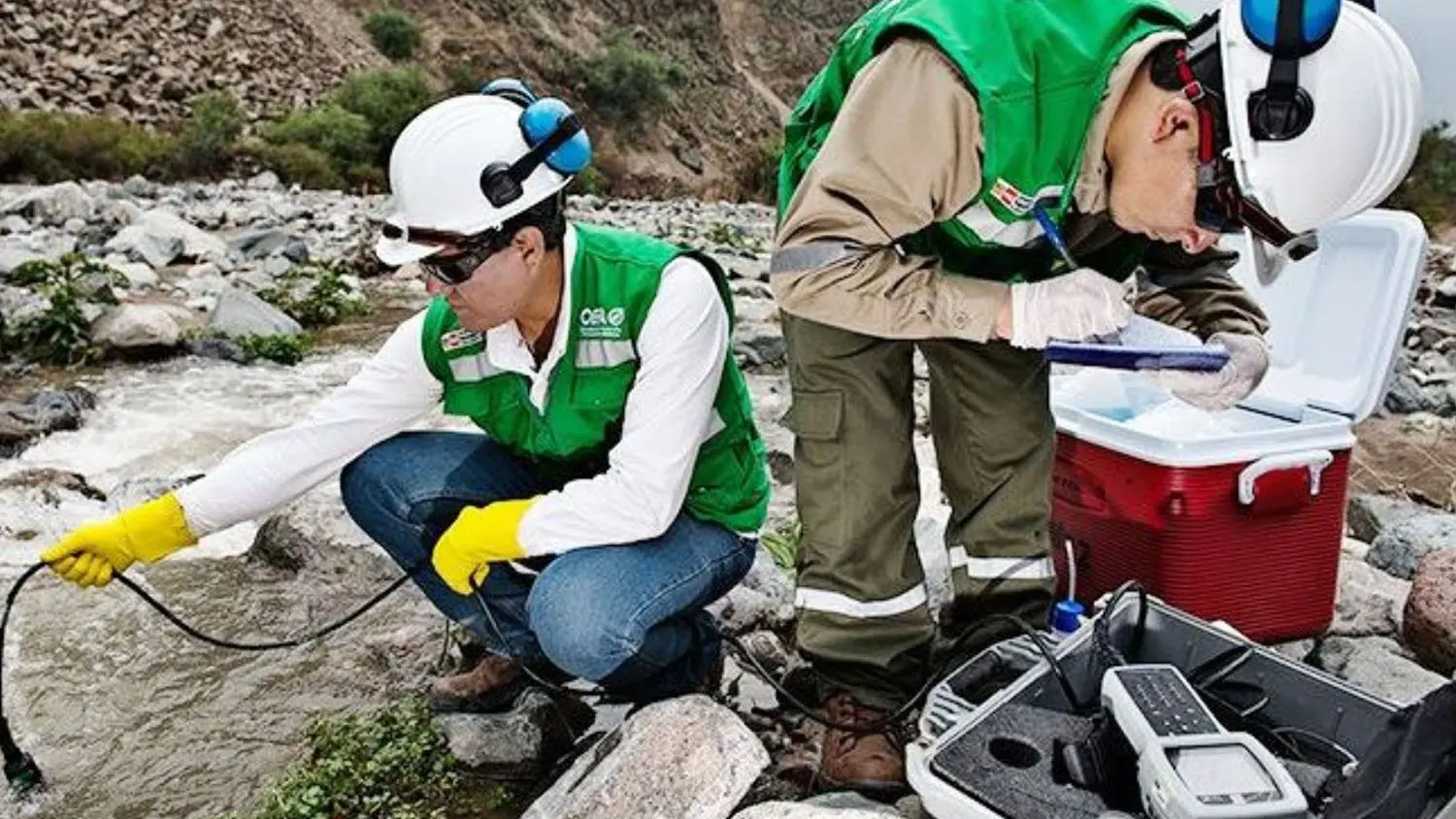 control y fiscalizacion industrial ambiental - Quién se encarga de la fiscalización supervisión evaluación control y sanción en materia ambiental