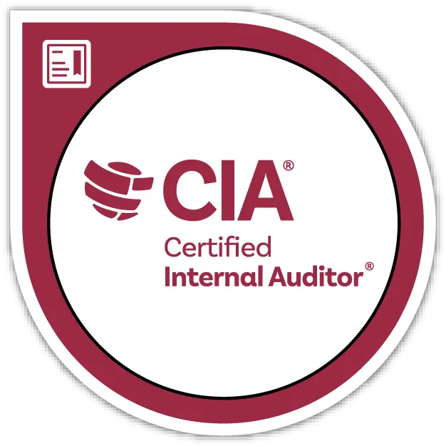 what are certified internal auditor - What does a certified auditor do