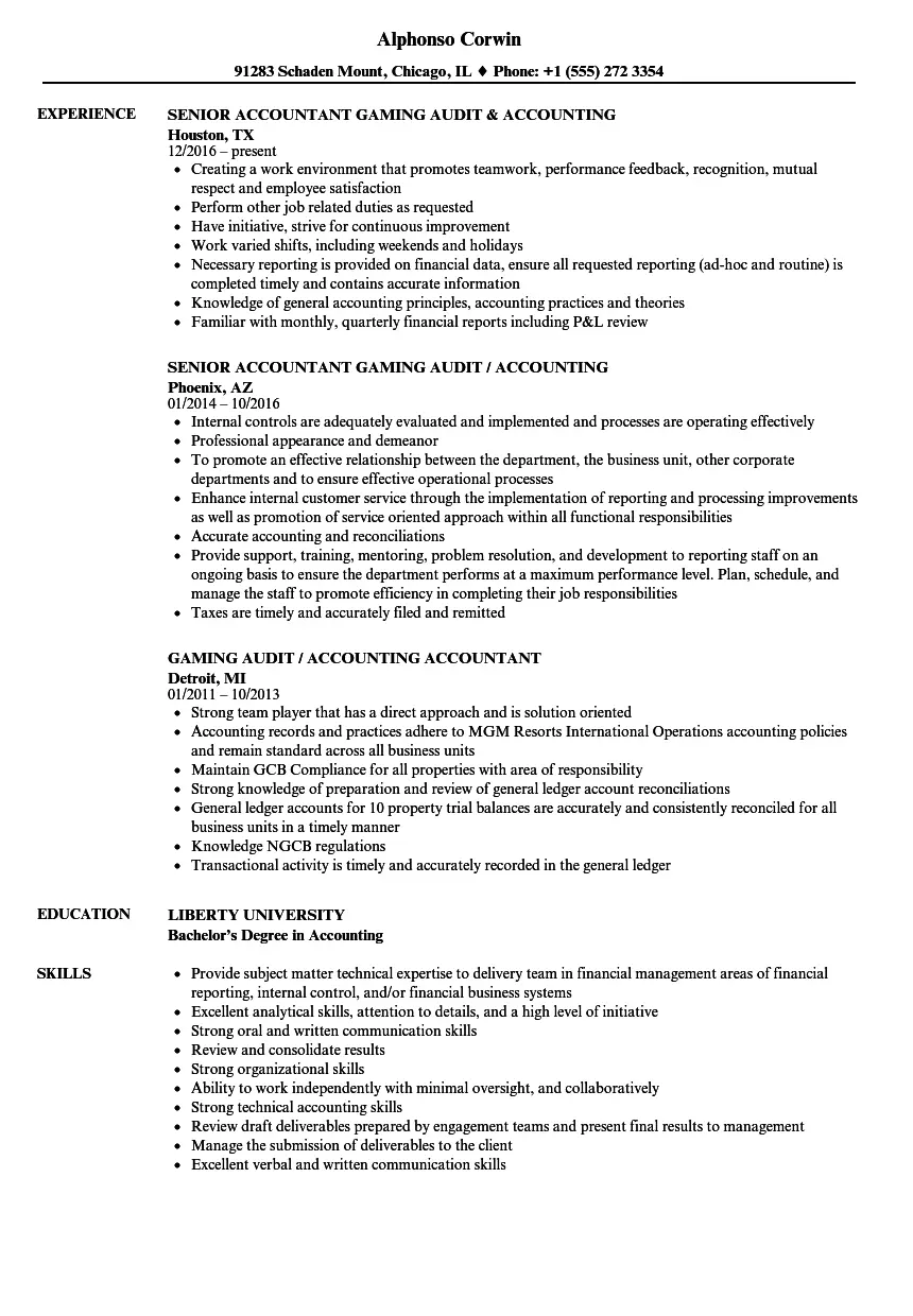 resume profile accounting auditor - What is profile summary in resume for accountant