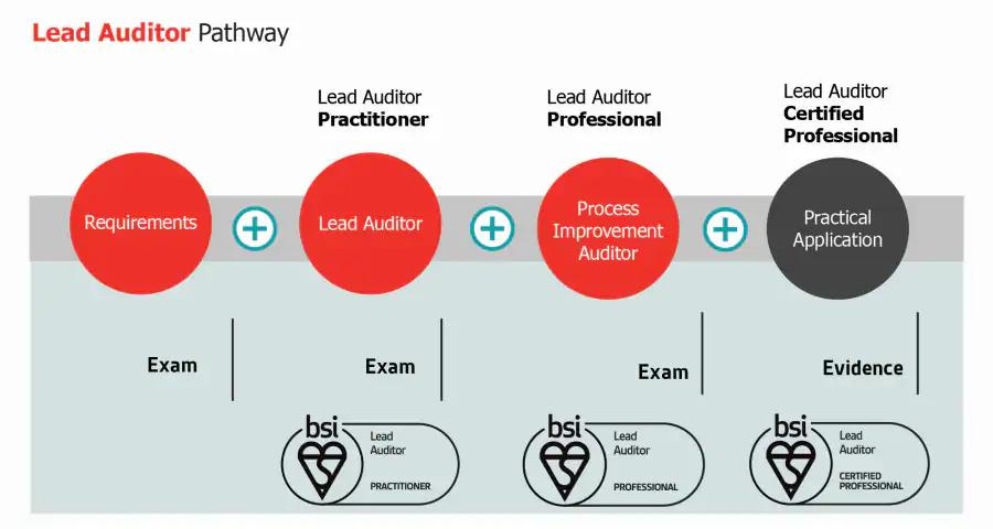 auditor qualification requirements - What is the requirement of an auditor