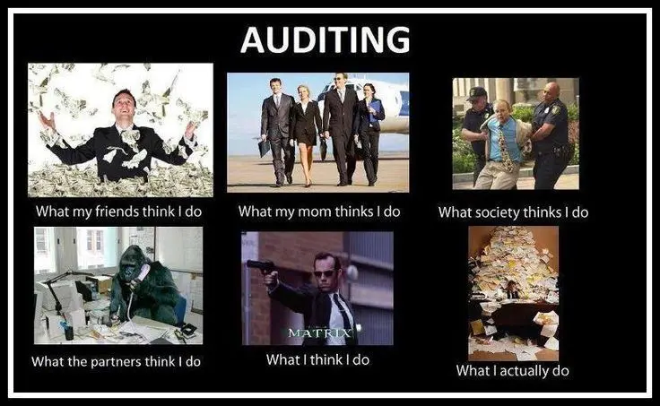 funny auditor memes - Why are auditors respected